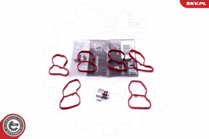 Repair Kit, intake manifold module